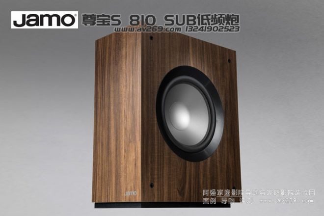 S810SUB 10Ӣ